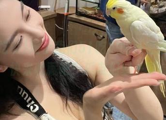 属于我们51吃瓜的私密信件，快来收藏吧！瓜友们聚一聚