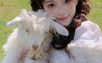 一点都不想吃瓜？安卓用户说：“91今日吃瓜”难以拒绝的诱惑啊！
