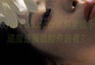 hl155.ccm黑料全线下发，难道我是黑线的传输者？