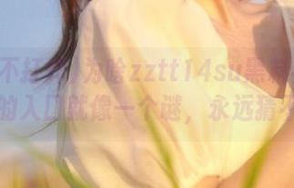 为啥zztt14su黑料不打烊网页的入口就像一个谜，永远猜不透？