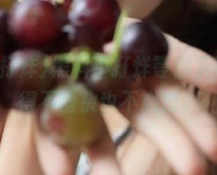 黑料不打烊等你下载，瓜吃得不嘈杂也不心虚。