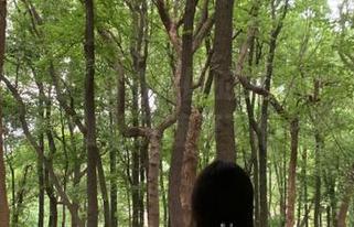 海角社区的更新：黑料正能量，让扒皮速度飞起来！