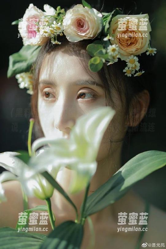 关于“黑料社的入口”，我只想说，滑进去就被各种八卦吸引，无限流连。