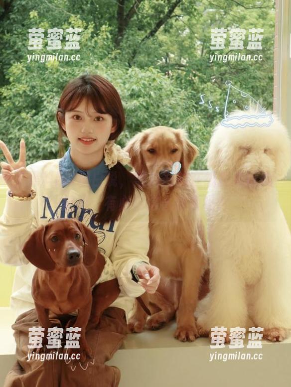 黑料网 坦白说,黑料网的在线导航让我想问:有必要这么复杂吗?