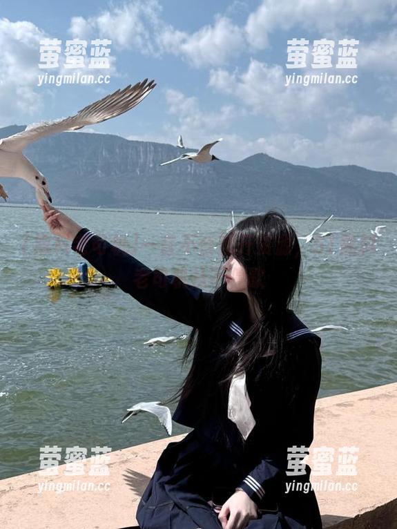 黑料老司机 一言不合就开资源,51黑料老司机从不停歇